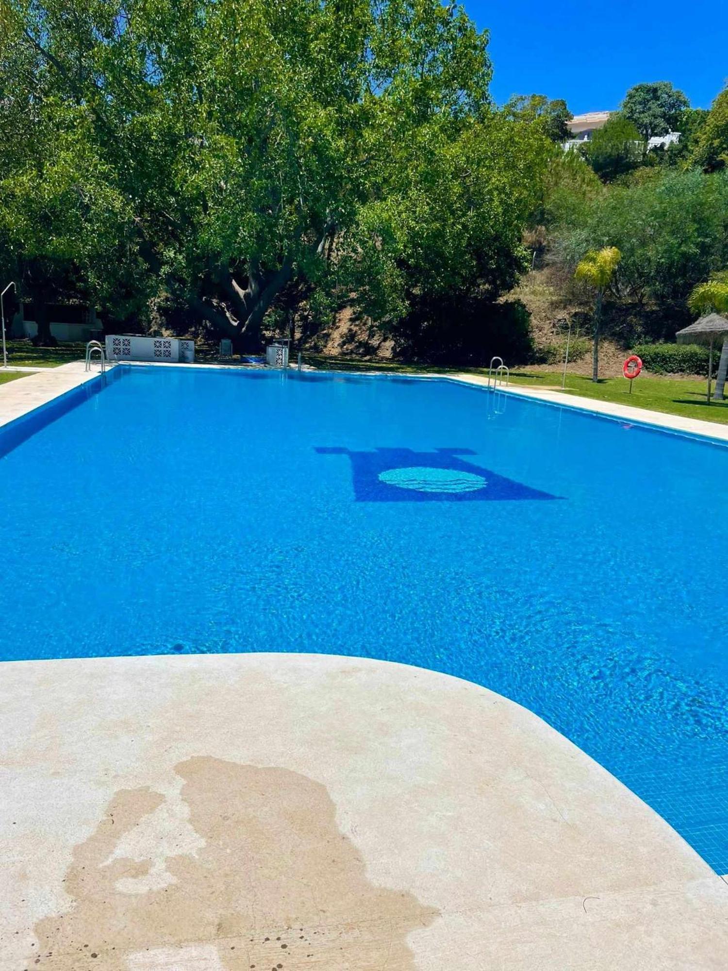 La Villa Escondida 1 Precioso Estudio Vista Al Mar Málaga Extérieur photo